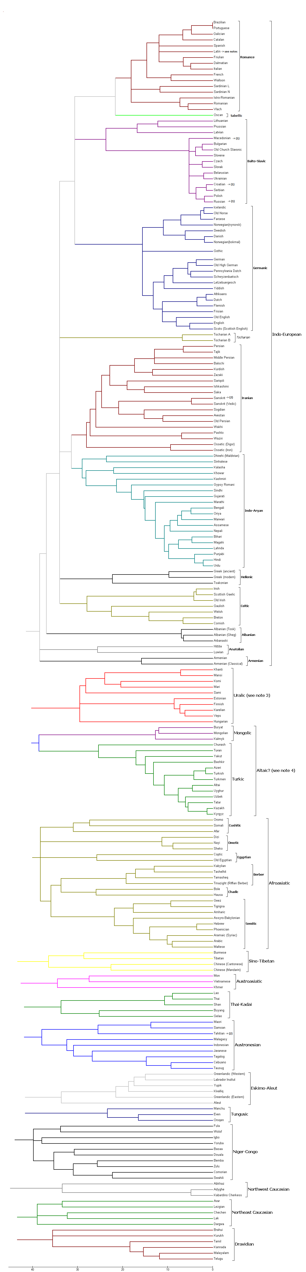 Language evolutionary tree