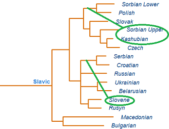 Slavic language tree